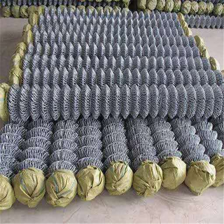 遼寧包護山勾花網圖片2